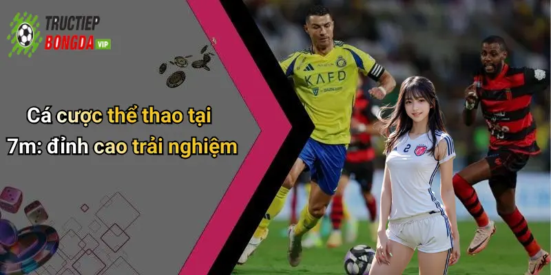 Cá cược thể thao tại 7m: đỉnh cao trải nghiệm