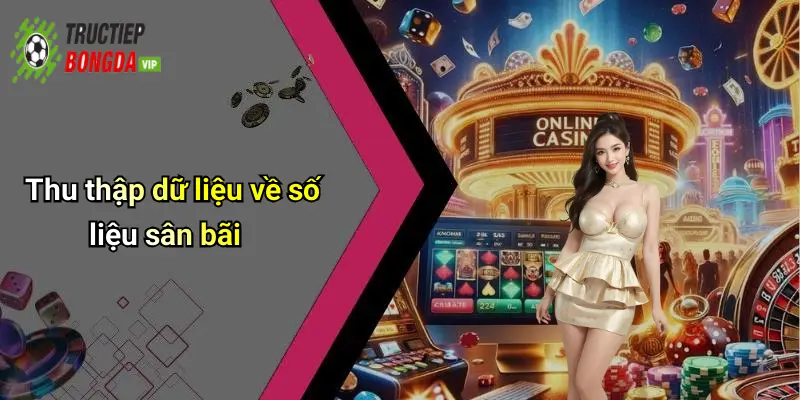 Thu thập dữ liệu về số liệu sân bãi