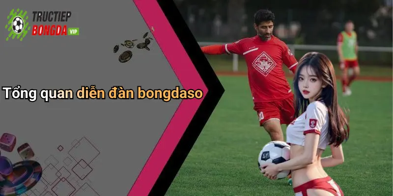 Tổng quan diễn đàn bongdaso