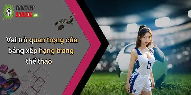 Vai trò quan trọng của bảng xếp hạng trong thể thao