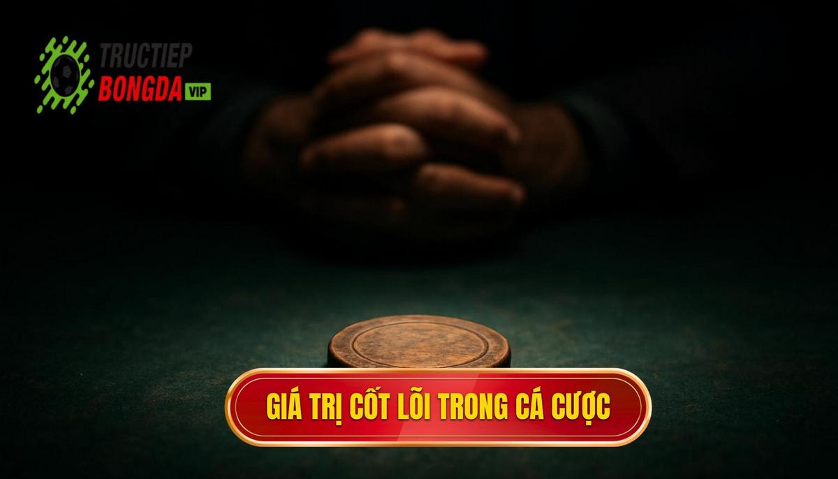 Giá trị cốt lõi của việc so sánh kèo nhà cái trong cá cược