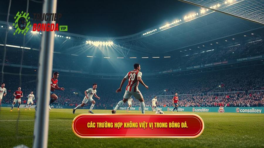 2. Các trường hợp không việt vị trong bóng đá.