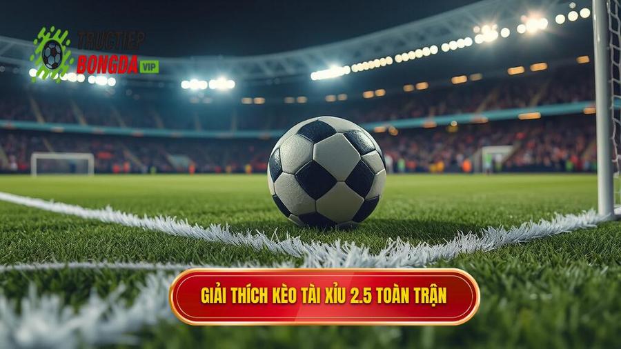 Hiểu rõ về kèo tài xỉu 2.5 toàn trận là gì?