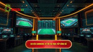 Soi kèo bóng đá các trận đấu CONMEBOL: Kinh nghiệm từ chuyên gia